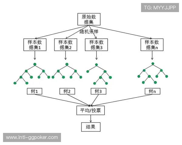 大数据预测网球赛果兴起，随机森林算法应用于球员表现分析
